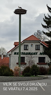 1744107601481
